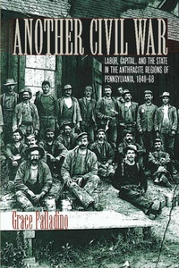 Enlarge image Cover: Another Civil War - Fordham University Press