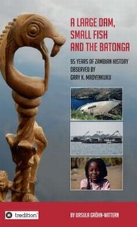 Enlarge image Cover: A Large Dam, Small Fish and the BaTonga - tredition