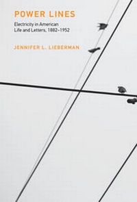 Enlarge image Cover: Power Lines - MIT Press