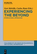 Cover: Experiencing the Beyond - De Gruyter Oldenbourg