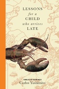 Cover: Lessons for a Child Who Arrives Late - Transit Books