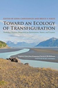 Abbildung von: Toward an Ecology of Transfiguration - Fordham University Press