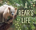 Cover: A Bear's Life - Orca Book Publishers