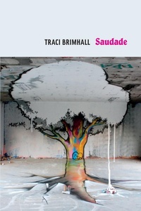 Enlarge image Cover: Saudade - Copper Canyon Press,U.S.