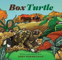 Enlarge image Cover: Box Turtle - Muddy Boots Press