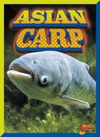 Enlarge image Cover: Asian Carp - Bolt!