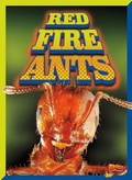 Cover: Red Fire Ants - Bolt!