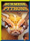 Cover: Burmese Pythons - Bolt!