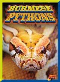 Enlarge image Cover: Burmese Pythons - Bolt!