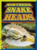 Cover: Northern Snake Heads - Bolt!
