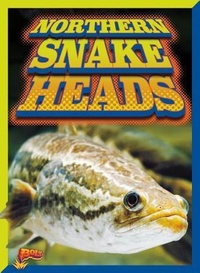 Enlarge image Cover: Northern Snake Heads - Bolt!