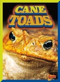 Cover: Cane Toads - Bolt!
