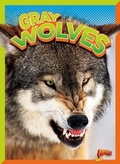 Cover: Gray Wolves - Bolt!