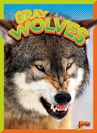 Enlarge image Cover: Gray Wolves - Bolt!