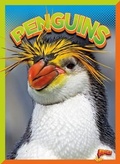 Cover: Penguins - Bolt!