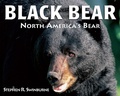Cover: Black Bear - Boyds Mills Press