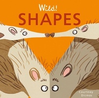Enlarge image Cover: Shapes - Child's Play (International) Ltd