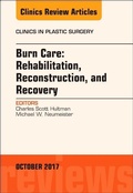 Cover: Burn Care: Reconstruction, Rehabilitation, and Recovery, An Issue of Clinics in Plastic Surgery: Volume 44-4 - Elsevier
