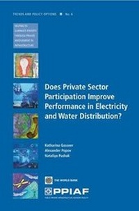 Enlarge image Cover: Does Private Sector Participation Improve Performance in Electricity and Water Distribution? - World Bank Publications