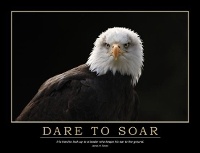 Abbildung von: Dare to Soar Poster - CRC Press