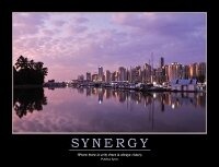 Abbildung von: Synergy Poster - CRC Press