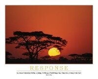 Abbildung von: Response Poster - Enna