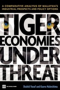 Cover: Tiger Economies Under Threat - World Bank Publications