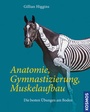 Bild: Anatomie, Gymnastizierung, Muskelaufbau - Kosmos