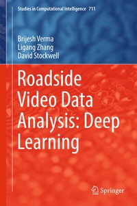 Enlarge image Cover: Roadside Video Data Analysis - Springer
