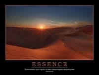 Abbildung von: Essence Poster - CRC Press