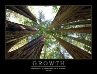Abbildung von: Growth Poster - Enna
