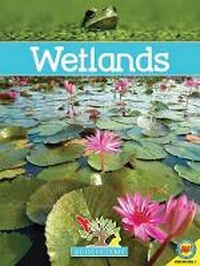 Enlarge image Cover: Wetlands - AV2 by Weigl Educational Publishers