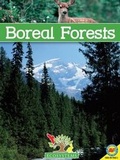 Cover: Boreal Forests - AV2 by Weigl Educational Publishers