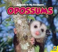 Enlarge image Cover: Opossums - Av2 by Weigl