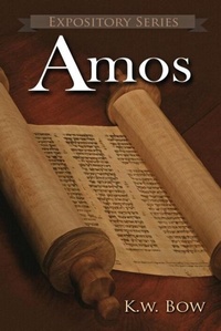 Enlarge image Cover: Amos - Savecom