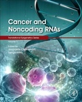 Cover: Cancer and Noncoding RNAs: Volume 1 - Academic Press