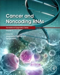 Enlarge image Cover: Cancer and Noncoding RNAs: Volume 1 - Academic Press