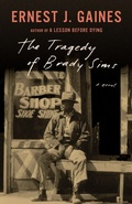 Cover: The Tragedy of Brady Sims - Vintage Books