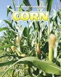 Cover: Corn - Enslow Publishing