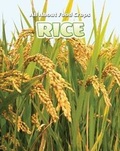 Cover: Rice - Enslow Publishing