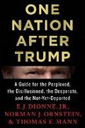 Cover: One Nation After Trump - St Martin's Press