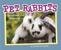 Enlarge image Cover: Pet Rabbits - Raintree