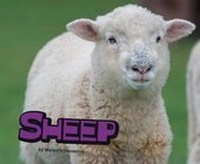 Enlarge image Cover: Sheep - Raintree