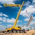 Cover: Cranes - Raintree