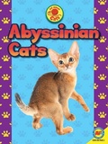 Cover: Abyssinian Cats - Av2