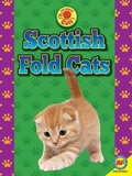 Cover: Scottish Fold Cats - Av2