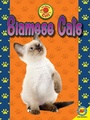 Cover: Siamese Cats - Av2