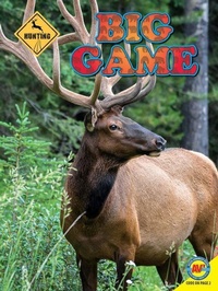 Enlarge image Cover: Big Game - Av2