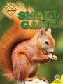 Cover: Small Game - Av2