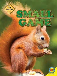 Enlarge image Cover: Small Game - Av2